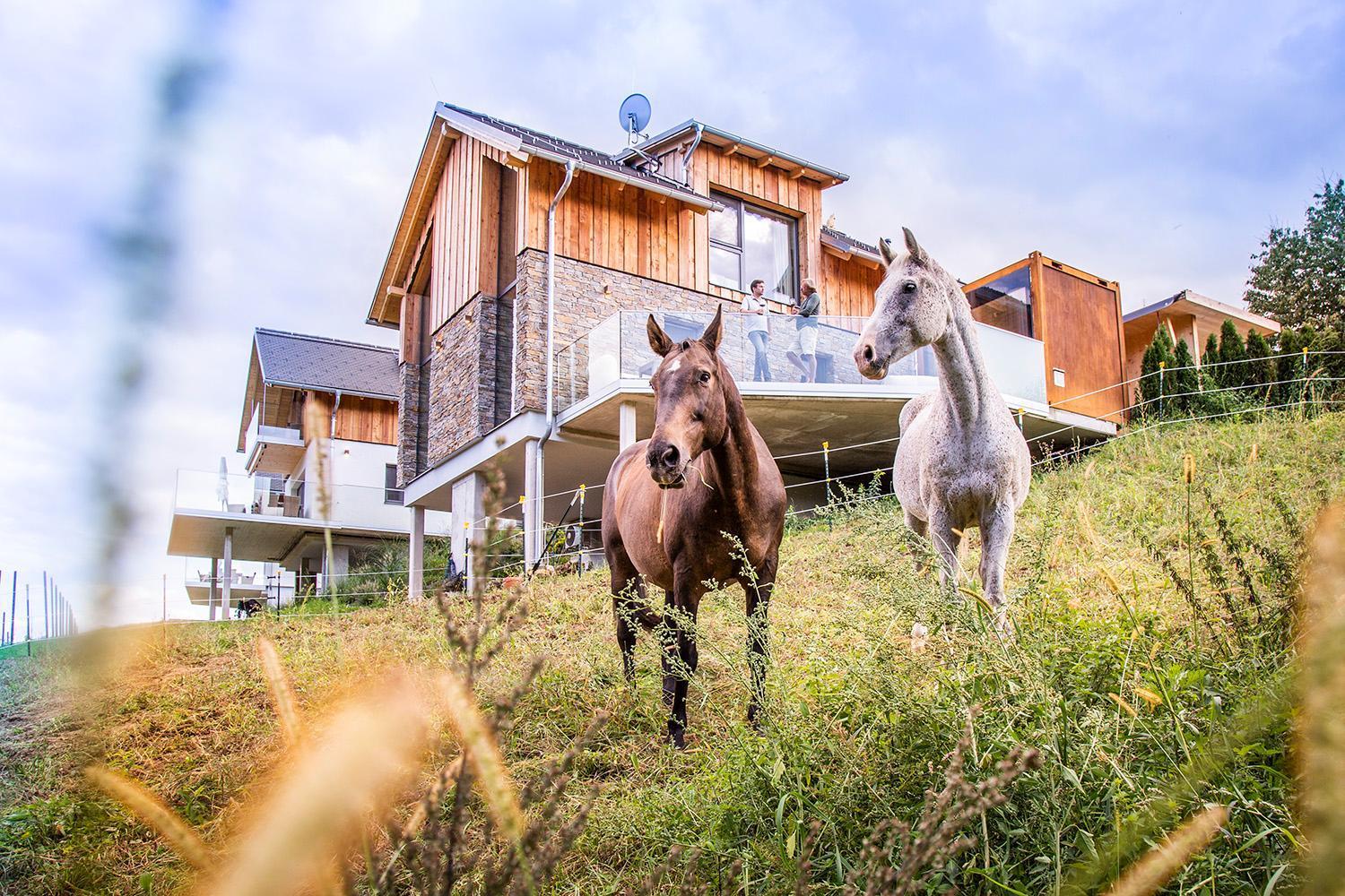 Golden Hill Country Chalets & Suites Waldschach Exterior foto