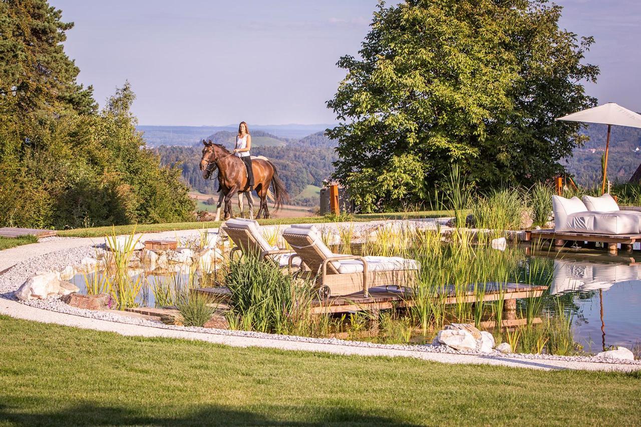 Golden Hill Country Chalets & Suites Waldschach Exterior foto